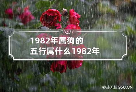 1982年属相|1982年属什么 1982年属什么五行